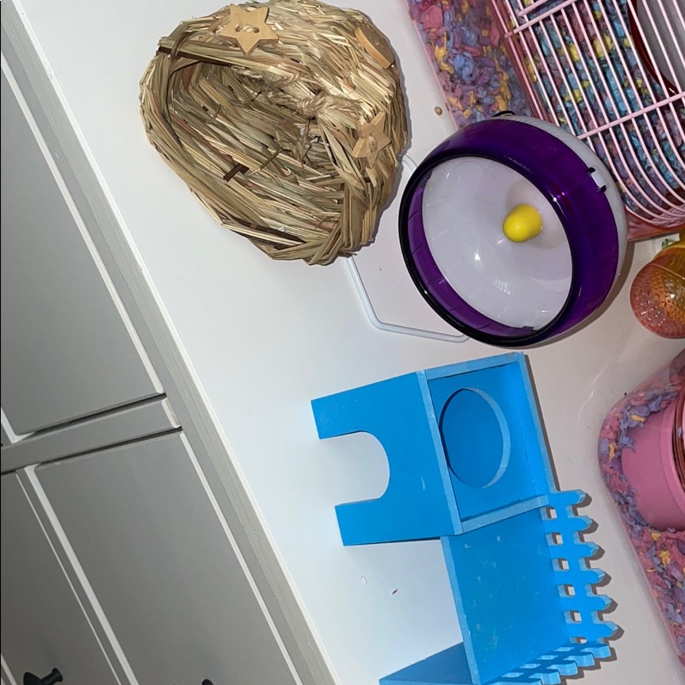 Hamster Cage Accessories